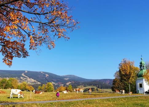 Spaziergang durch Rokytnice nad Jizerou 