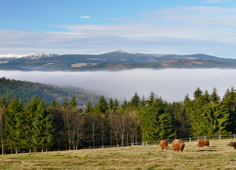 Blick von Rýchor