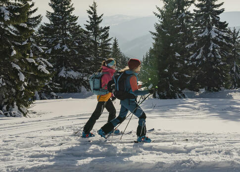 Skialpy v Krkonoších