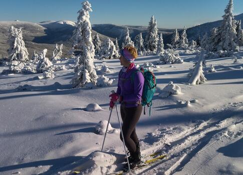 Skialpy v Krkonoších