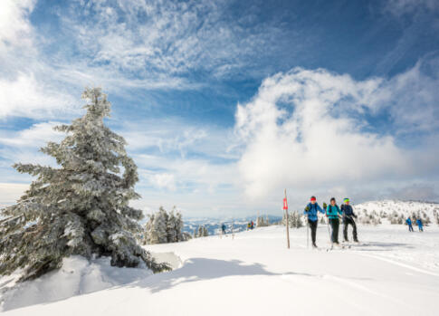 Das echte Riesengebirge winter
