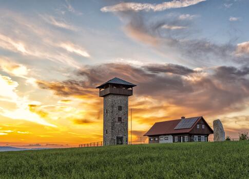 Rozhledna U borovice