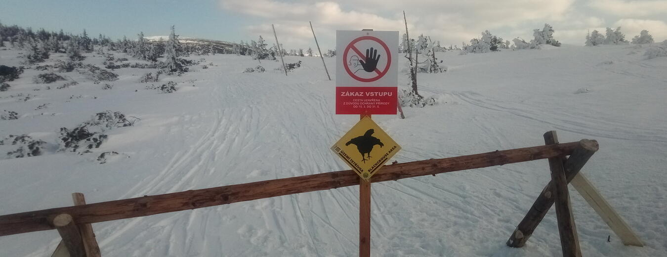 Zákaz vstupu na některé cesty v horách