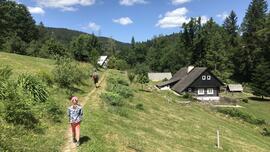 Buďárka