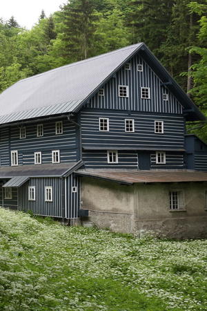 Janata-Mühle Buřany