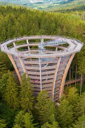 Krkonoše Tree Top Trail