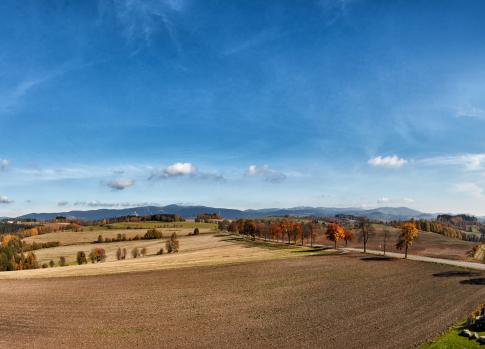 U Borovice Viewing Tower