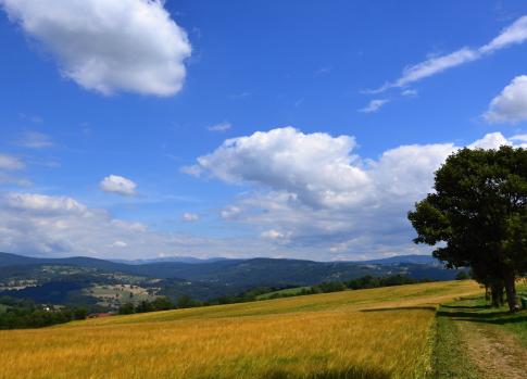 Výhledy z Vysokého nad Jizerou