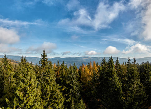 Aussichtsturm Žalý