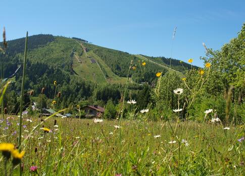 Čertova Mountain in Harrachov