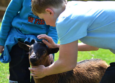 Farmapark Muchomůrka