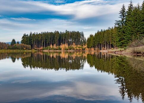 Martinice ponds