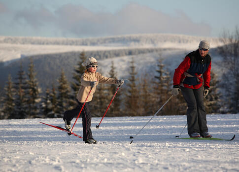 Cross-country Tracks in Krkonose