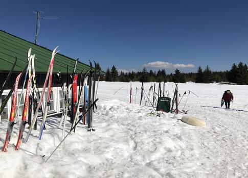 Cross-country Tracks in Krkonose