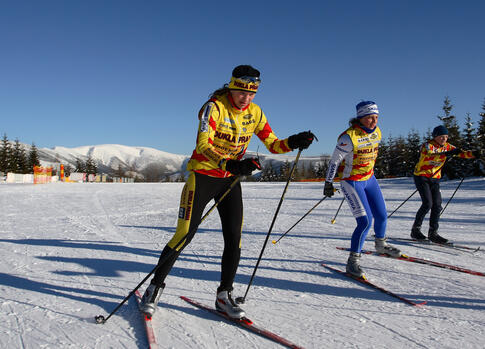 Cross-country Tracks in Krkonose