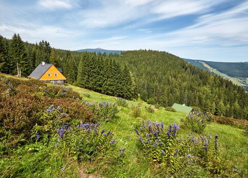 Krakonošova cesta