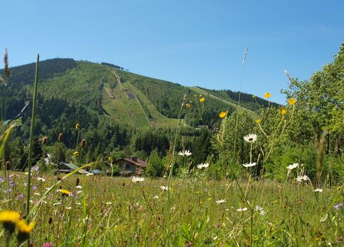 Harrachov