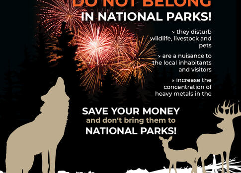 Pyrotechnics do not belong to national park