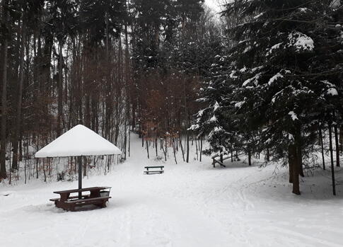 Lesopark Trutnov