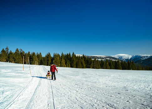 Se sáňkami k Moravské boudě