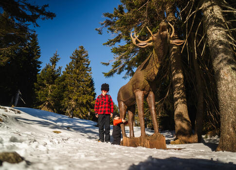 Se sáňkami k Moravské boudě