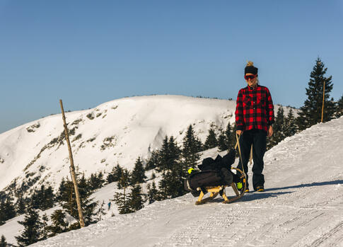 Pomnik Mohyla Hanče a Vrbaty
