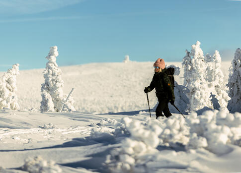 Skialpy v Krkonoších