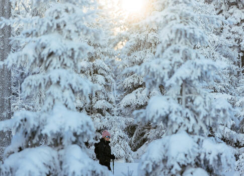Skialpy v Krkonoších