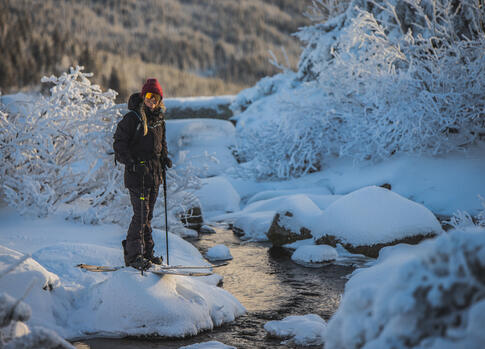 Skialpy v Krkonoších