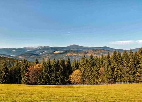 Rýchory 