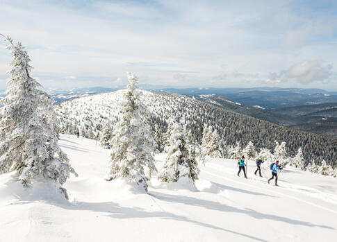 Krkonose White Trail