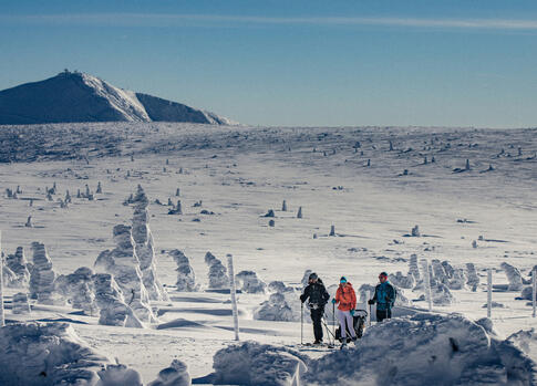 From chalet to chalet on skialps