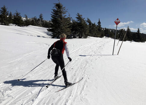 The Main Krkonose Ski Trail