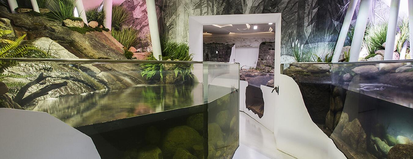 Setkání s tvůrci expozice - akvarista Tomáš Macháček