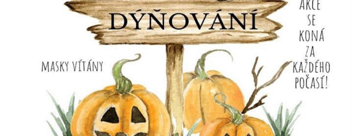 Dýňování
