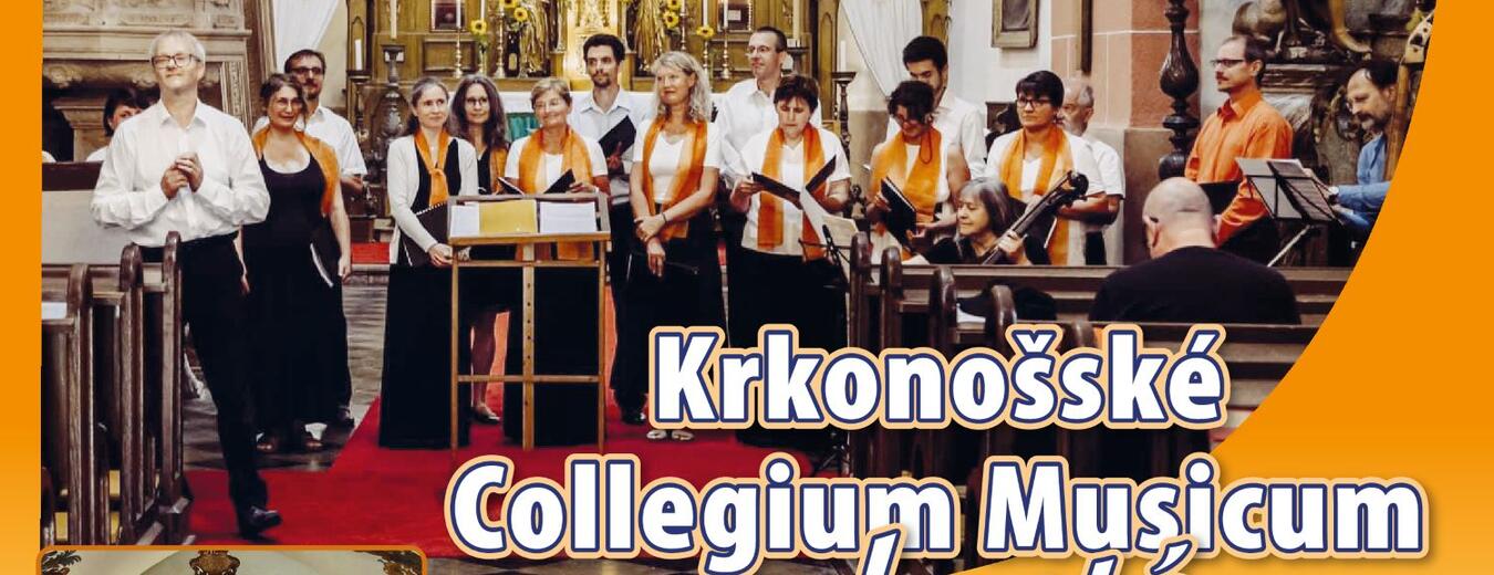 Benefiční koncert