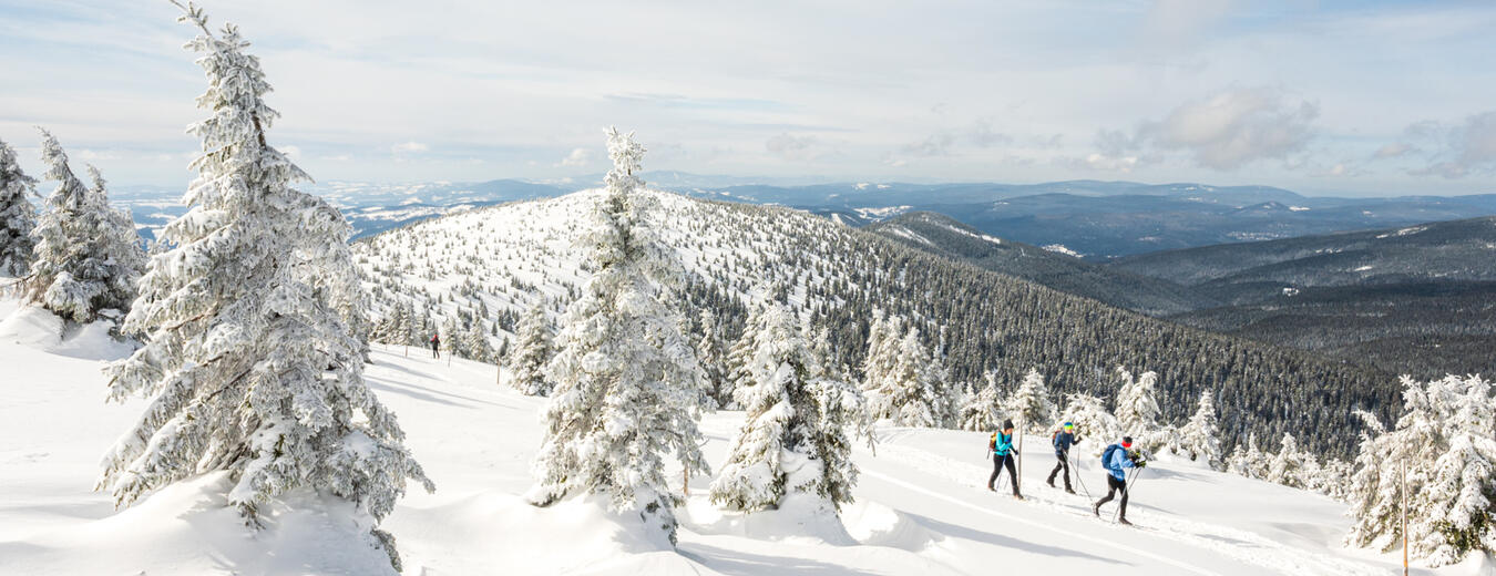 Cross-country Tracks in Krkonose