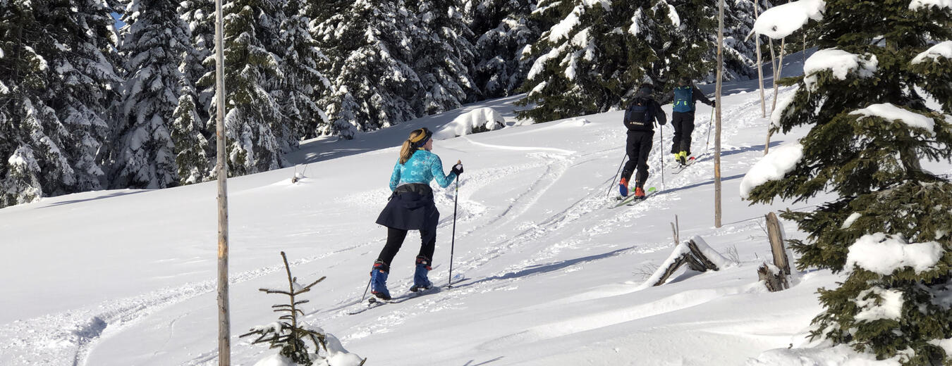 Cross country tracks in Krkonose