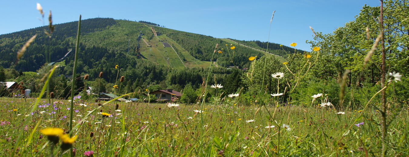 Harrachov