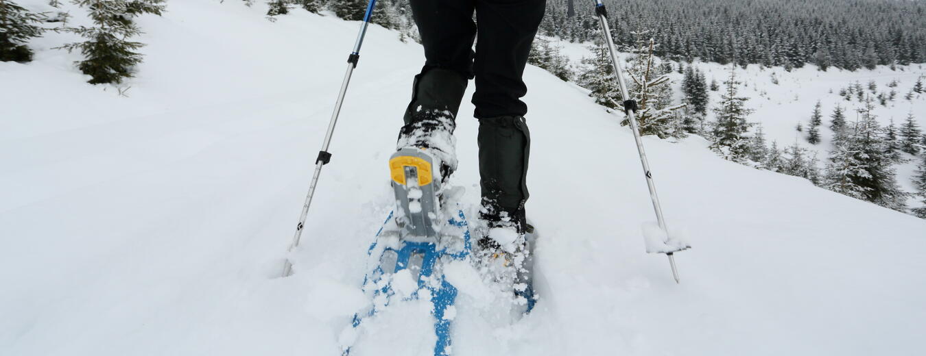 Walking in the Krkonose with Snowshoes