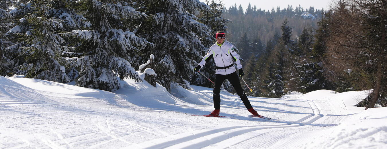 Cross country track in Harrachov