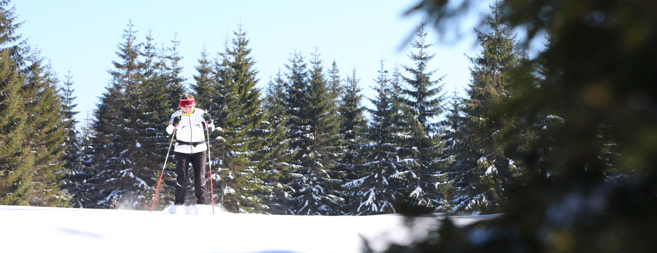 Běžecké tratě Harrachov