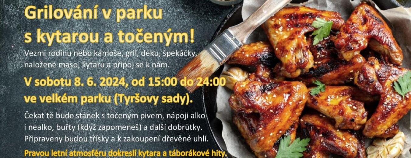 Grilování v parku v Hostinném