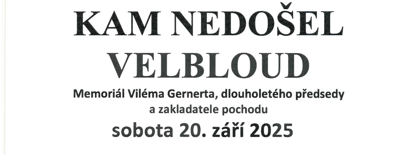 Kam nedošel velbloud