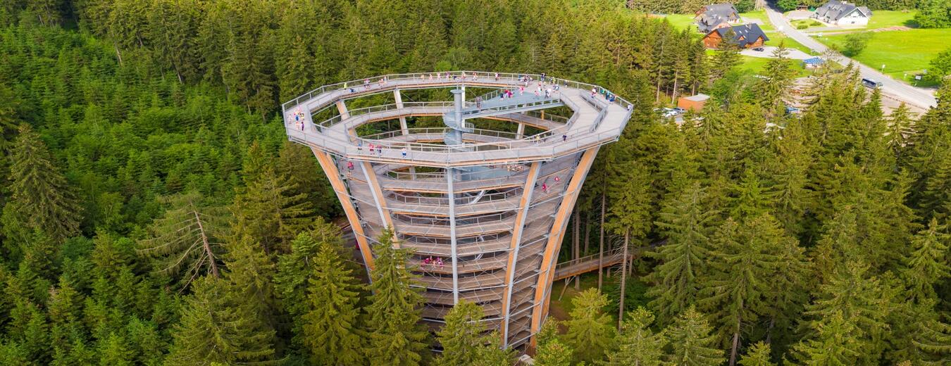 Krkonoše Tree Top Trail