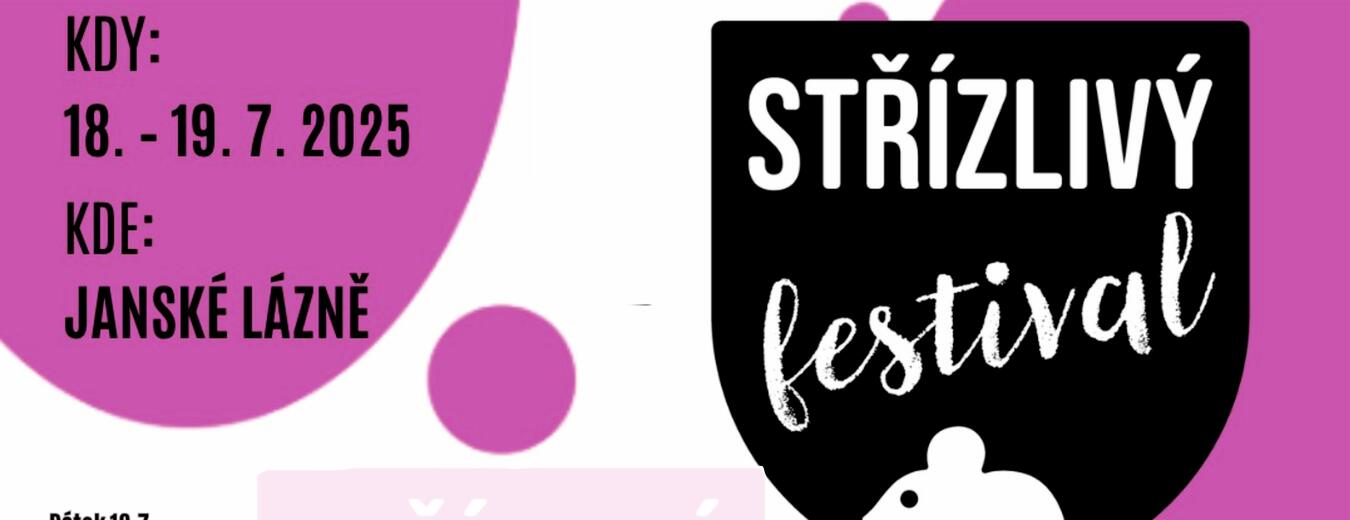 Střízlivý festival