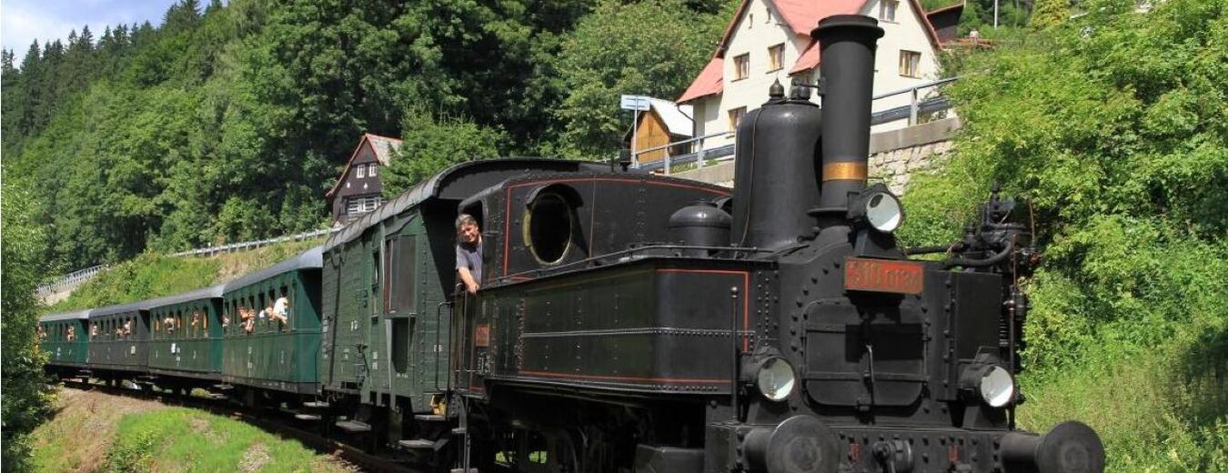 Borůvková sobota na Zubačce