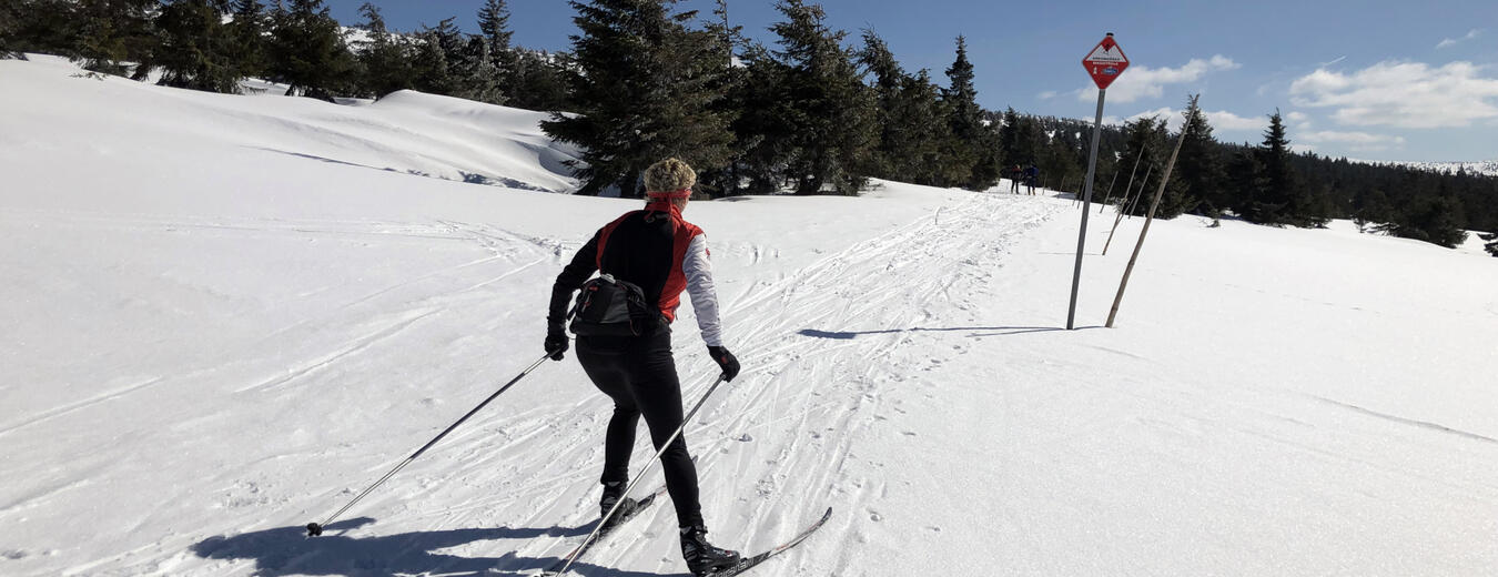 The Main Krkonose Ski Trail