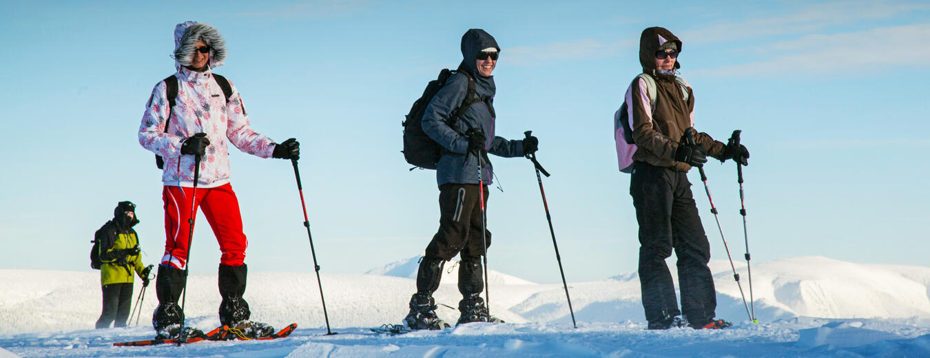 Schneeschuhwandern im Riesengebirge