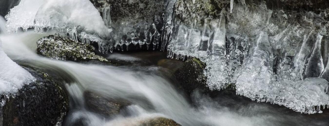 Fotovycházka do Krkonoš